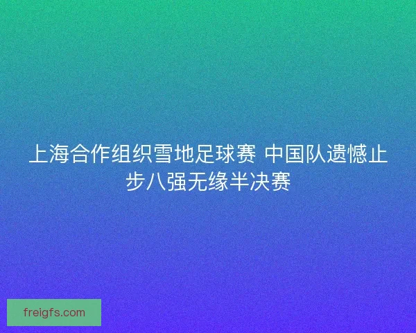 上海合作组织雪地足球赛 中国队遗憾止步八强无缘半决赛 上海合作组织雪地足球赛 中国队遗憾止步八强无缘半决赛